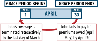 Key Facts Premium Payments And Grace Periods Beyond The Basics