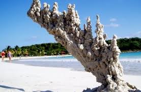 Persian gulf countries import sand. What Really Happens When Lightning Strikes Sand Discover Magazine