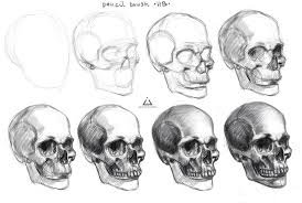 Skull Steps By Asteltainn On Deviantart Skull Art Drawing Skulls Drawing Skeleton Drawings
