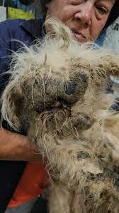 Kenna Holmes's Instagram, Twitter & Facebook