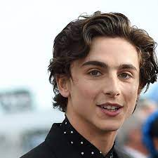 Call me by your name. Leave Timothee Chalamet Alone Why What Happens On A Plane Should Stay On A Plane Timothee Chalamet The Guardian