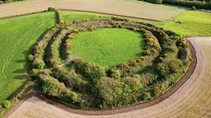 Michelle comi sex she is from the Salt Lake City locality