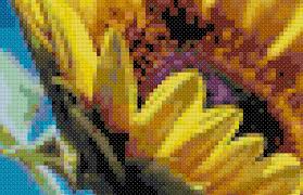Check spelling or type a new query. Sunflower Cross Stitch Pattern Creatively Crafting