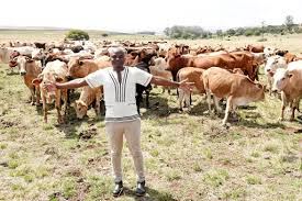 Jun 23, 2021 · california's drought could have impacts on both the production and price of crops, according to analysis by gro intelligence. Entrepreneur Ntuthuko Shezi Creating A Cash Cow