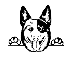 Maybe you would like to learn more about one of these? Peeking Australian Cattle Dog Car Decal Sticker Blue Heeler Dog Sticker Red Heeler Cattle Dog Farm Dog Vinyl Window Ute Fun Dog Love Cattle Dog Australian Cattle Dog Aussie Cattle Dog