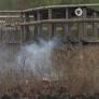 Severe Environmental Crisis in Germany: Hohen Venn Fire and Drought Impact Baden-Württemberg