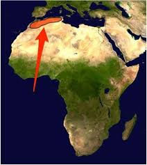 We did not find results for: What Is The Name Of The Mountain Range Found In Northern Africa Andes Kilimanjaro Atlas Brainly Com