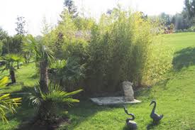 Au total, ce sont 5 références ecran de verdure que vous pouvez acheter dès à présent sur notre site. Haie De Bambou Comme Ecran De Verdure