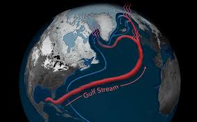Serving you since 1978 · financing available · new listings daily Earth S Gulf Stream System At Its Weakest In Over A Millennium Ucl News Ucl University College London