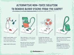 How to get blood out of carpet with peroxide. 8 Powerfull Methods To Get Blood Off Of The Carpet The Housewire