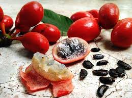 Image Result For Susong Kalabaw Growers Food Fruit Trees Fruit