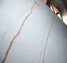Use to connect sink drain with p trap. Why Do Termites Make Mud Tubes Colonial Pest Control