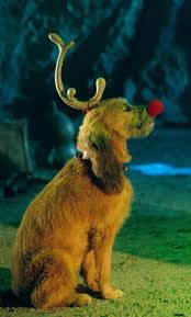Pictures Photos From How The Grinch Stole Christmas 2000 Christmas Dog Costume Grinch Costumes Grinch Stole Christmas
