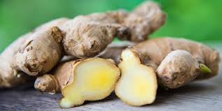 In the uk, the pronunciation /ˈɡɪŋə/ may be jokingly used in disparaging reference to (a person with) the hair colour. How To Grow Ginger Indoors Growing Ginger Root At Home