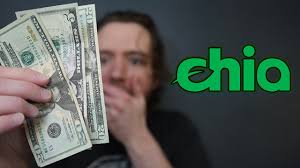 Cryptocurrency price predictions are what the name says, price predictions, no one can guarantee you future results and. Chia Price Prediction Watch This First Youtube