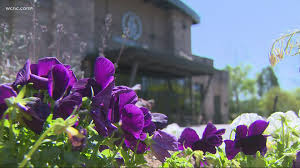 Hours may change under current circumstances Charlotte Church Pays Off 2 Million Worth Of Medical Debt For Strangers Kvue Com