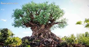 The first few hours are the least busy. Top 11 Best Photo Spots In Disney S Animal Kingdom Disneylists Com