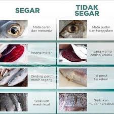 Maybe you would like to learn more about one of these? Mimpi Beli Ikan Cara Golden