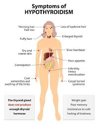 The menstrual cycle is the time from the first day of a woman's period to the day before her next period, says toni belfield, a specialist in sexual health information, and a trained fertility awareness. Long Menstrual Cycles What You Should Know