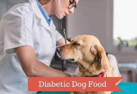 For variety other ingredients can be added or substituted. Diabetic Dog Food The Top 5 Best Dog Foods For Diabetic Dogs In 2021