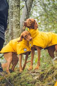 Pin On Vizsla Apparel