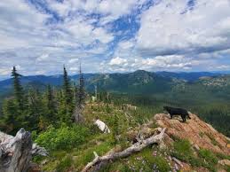 For gps, phone or google earth. Moose Mountain Loop Running Trail Ponderay Idaho