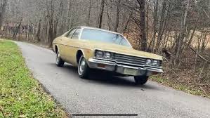 Image result for Golden Fawn 1974 Dodge