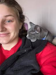 Help us write more #wherearetheymeow stories by helping us increase  ADOPTIONS. 💕 YORI and BREIGH were was adoptions 469 & 470 (now we're at  504). 🎉 Their days are spent snuggling with