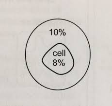 C) the cell would swell because the water in the beaker is hypotonic relative to the cytoplasm of the rbc. Section 7 3 Passive Transport Osmosis Flashcards Quizlet