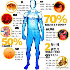 一种无色无味无臭的液体 水的重新定义 health and wellness wellness health