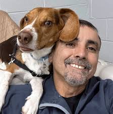 Lost Dog and Cat Rescue Foundation