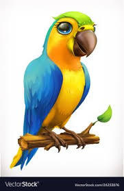 Voir plus d'idées sur le thème dessin perroquet, dessin, dessin oiseau. 81 Idees De Perroquet En 2021 Perroquet Dessin Animaux