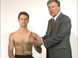 Image result for Shoulder Exam