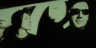 VENUS FLY TRAP INTERVIEW