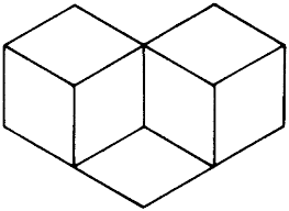 Image result for illusion pictures