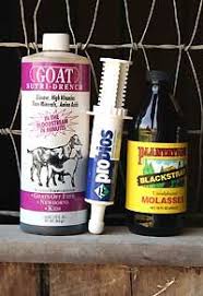Home Remedies For Common Animal Sickness Including Goats Horses Sheep Llamas Good Diy Animal Health Tips Goat Farming Goats Goat Health