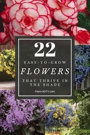 Here are 11 plants that thrive in container gardens in shady areas of your landscape. Brighten Dark Corners With The Flower Power Of Made For The Shade Annuals Annual Flowers Annual Flowers For Shade Easy To Grow Flowers
