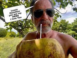 Sky F1 analyst Anthony Davidson believes Max Verstappen was the "main  cause" of his collision with Lewis Hamilton at the Hungarian GP.