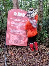 Semasa pertempuran di antara lobo dan sekumpulan pembalak haram, dia telah ditembak di bahagian muka manakala rakannya cedera teruk dan dihantar ke hospital oleh pemimpin puak. Wikiloc Kampung Sungai Limau Trail