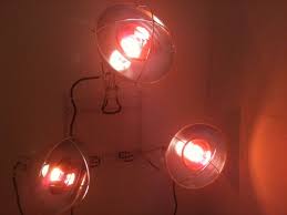 Benefits And How To Build An Infrared Sauna Infrared Sauna Sauna Diy Red Light Therapy