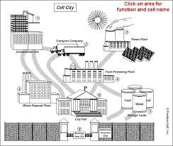 Cell City Worksheet Cell City Cell City Project Cell Analogy