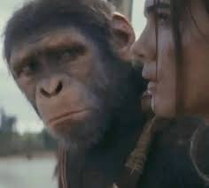 Just because I'm nice to u doesn't mean I haven't heard what u said about  me.