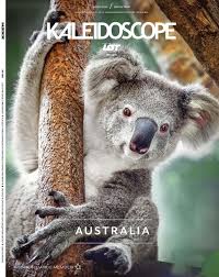 Kaleidoscope September 2019 Koala Koala Bear Photo Editing