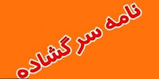بازرگان ایرالنی