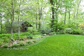 Tennessee Native Plants Shade Garden Woodland Garden Outdoor Gardens