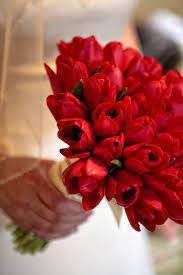 Maybe you would like to learn more about one of these? Red Tulip Bridal Bouquet Wedding Tulip Bridal Bouquet Tropical Wedding Bouquets Bridal Bouquet