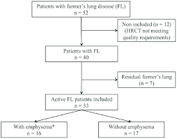 Flow Chart Of Patients Included In The Study Bilateral