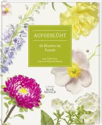 Aufgeblüht: 50 Blumen im Porträt : Field-Lewis, Jane, Maxted, Richard:  Amazon.de: Bücher