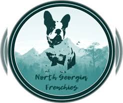 Deposit to hold is $500. View Breeder Profile French Bulldog Dog Breeder Near Georgia Gainesville Usa Subs 105124
