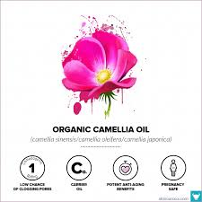 20 Best Non Comedogenic Rated Organic Skin Care Oils For All